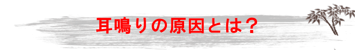 耳鳴りの原因とは？